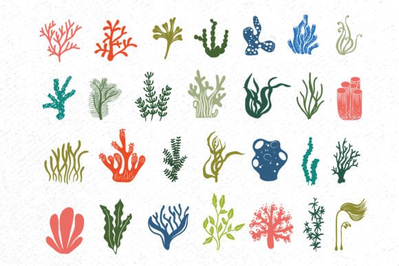 Download Coral Svg Bundle, Seaweed Svg, Coral Svg - Coral svg Collection