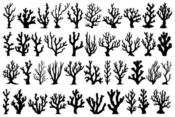 Download Coral SVG Bundle - Coral svg Collection