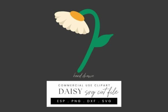 Download Daisy Papercraft SVG Cut File, Layered - Craft Collection
